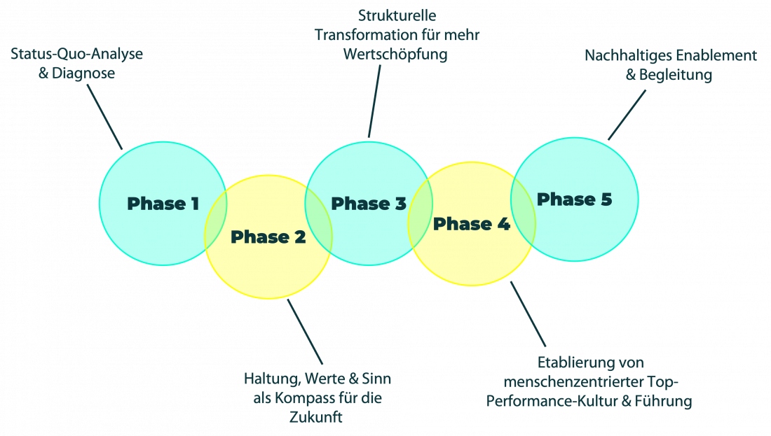 Strukturelle & kulturelle Transformation