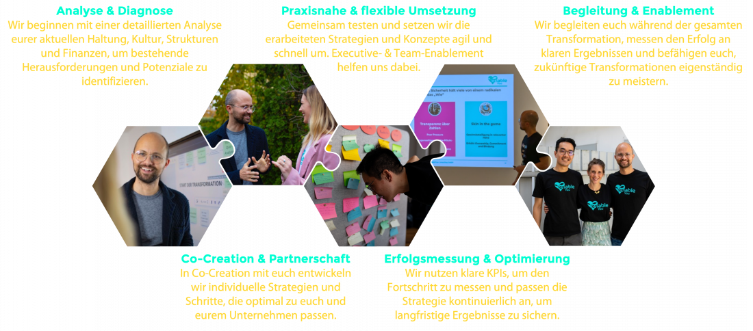 Strukturelle & kulturelle Transformation