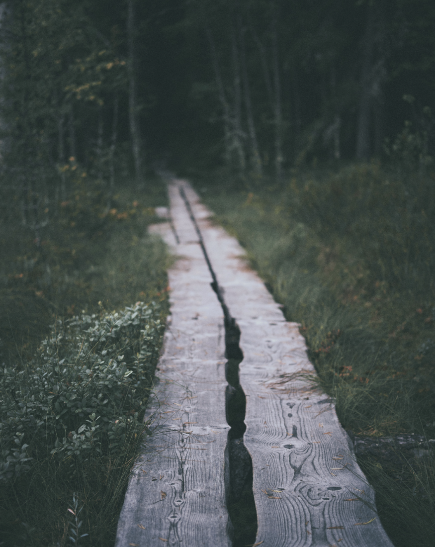 Finanzielle Transparenz & Anreizsysteme 