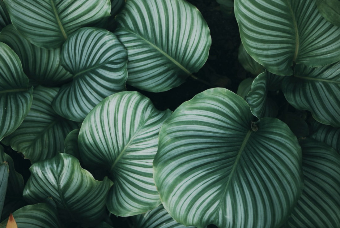 Finanzielle Transparenz & Anreizsysteme 