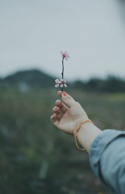 Finanzielle Transparenz & Anreizsysteme 