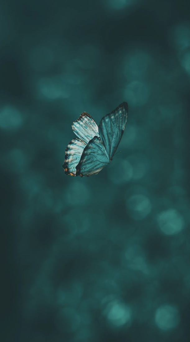 Strukturelle & kulturelle Transformation