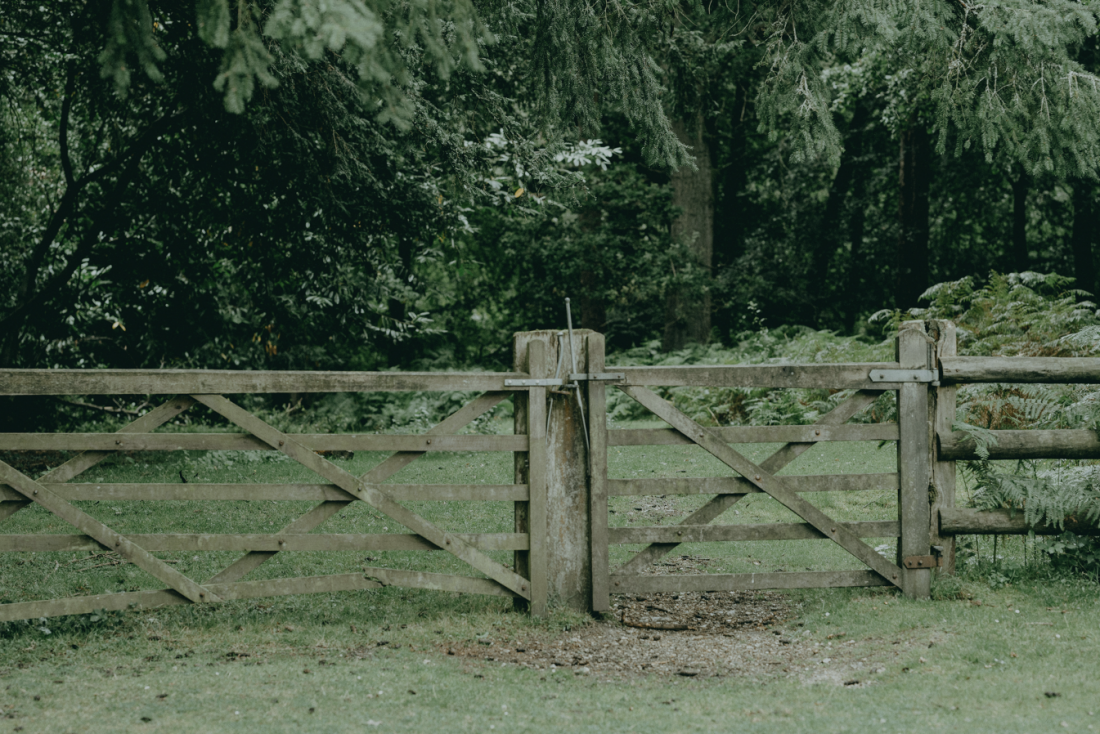 Strukturelle & kulturelle Transformation