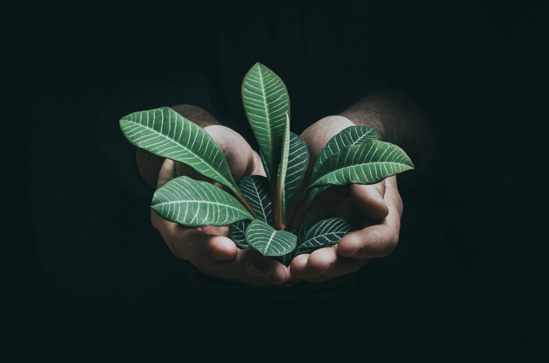 Strukturelle & kulturelle Transformation