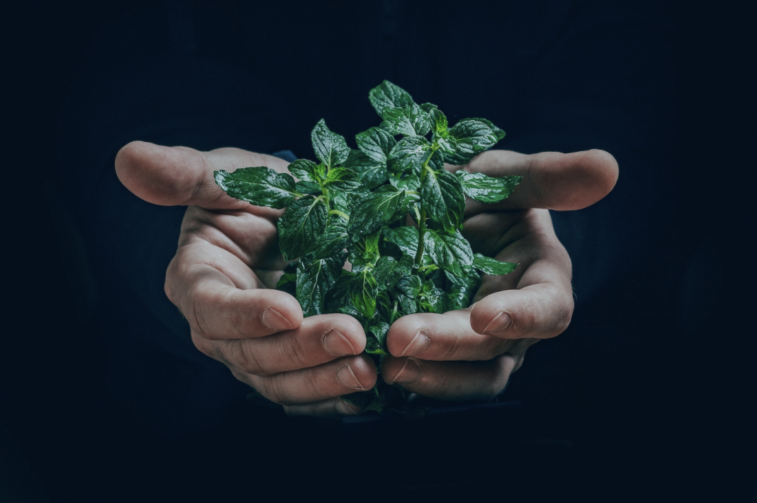 Strukturelle & kulturelle Transformation